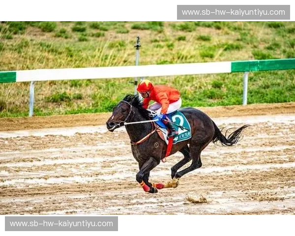 伤病赛马：当“谁先倒下”决定赛场风向